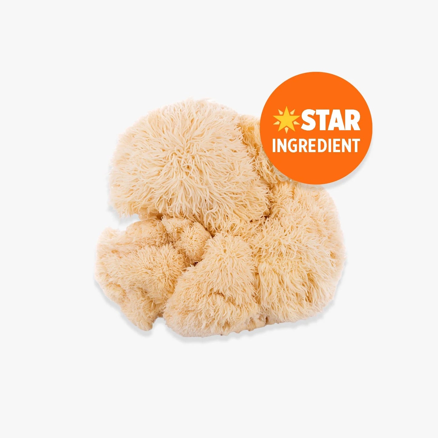 Orange County Lion's Mane Extract 240,000mg - 60 Servings